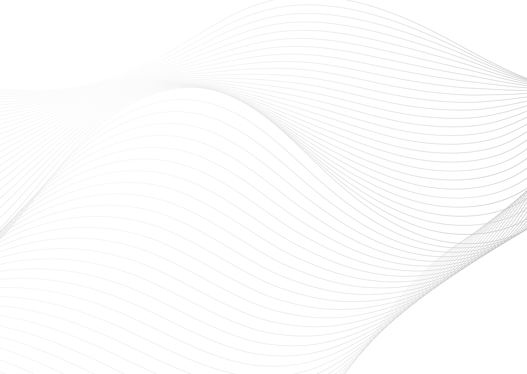 Web Site Tasarımcısı, İzmit